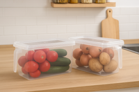 Organizador Con Tapa Transparente X 6 Unidades